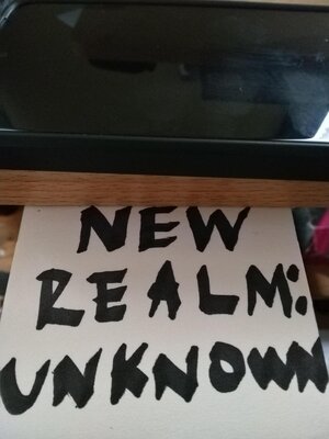 cover image of New Realm